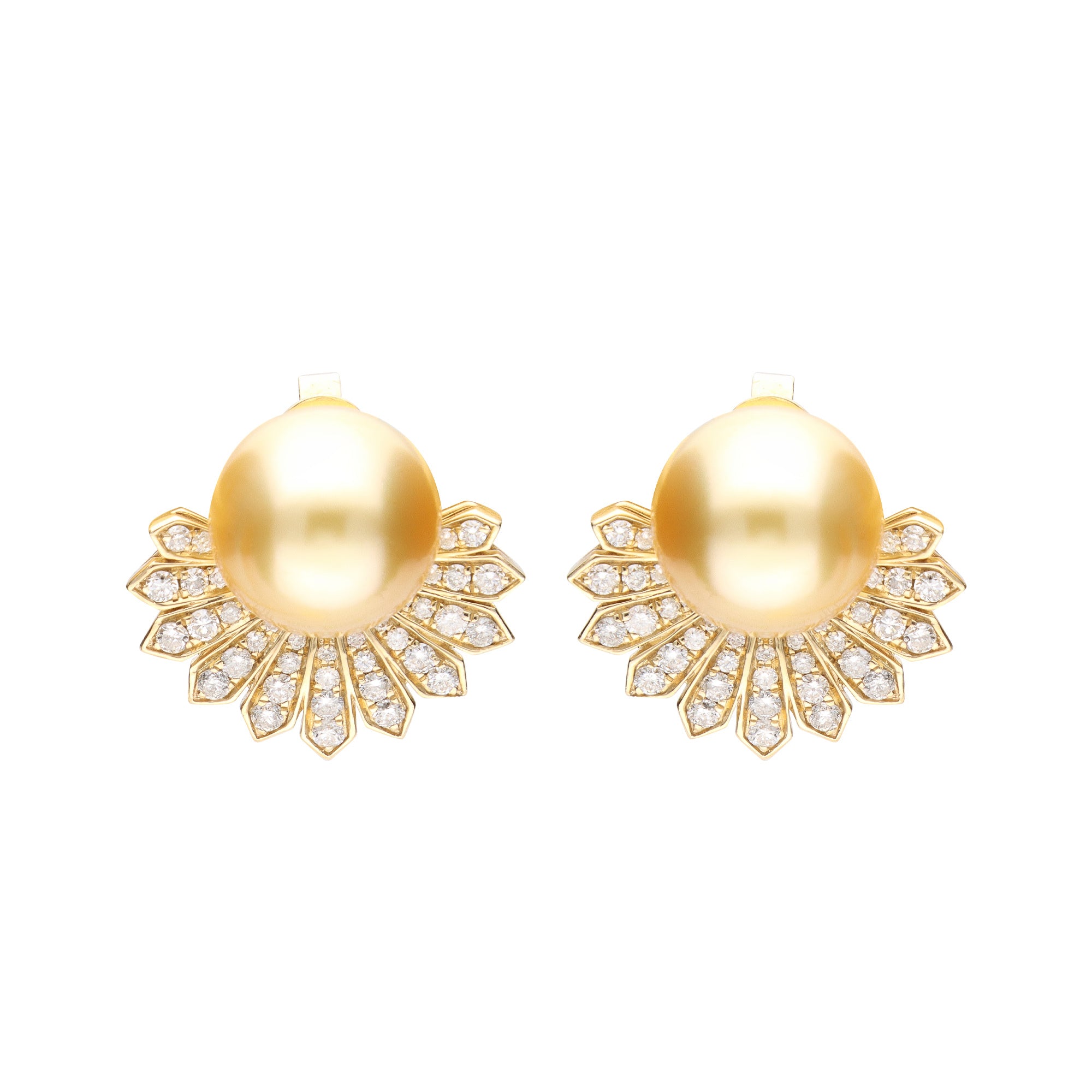 Petals of the Sea – 14K Yellow Gold South Sea Pearl Earrings
