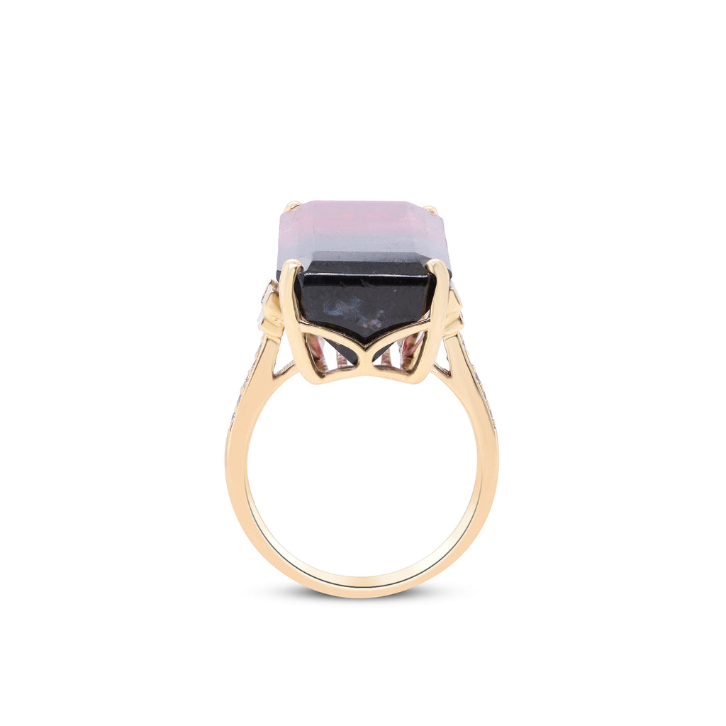 Where Day Meets Dusk – 14K Yellow Gold Bi-Color Tourmaline Ring